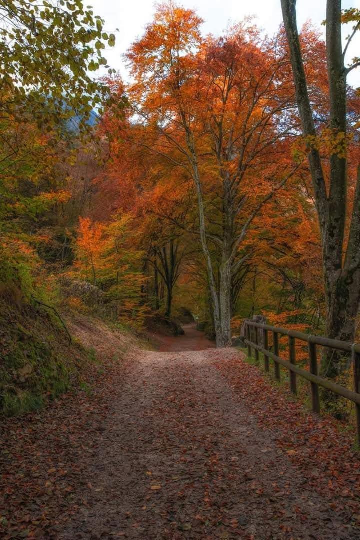 Appartamento Galet Pieve Di Ledro Buitenkant foto