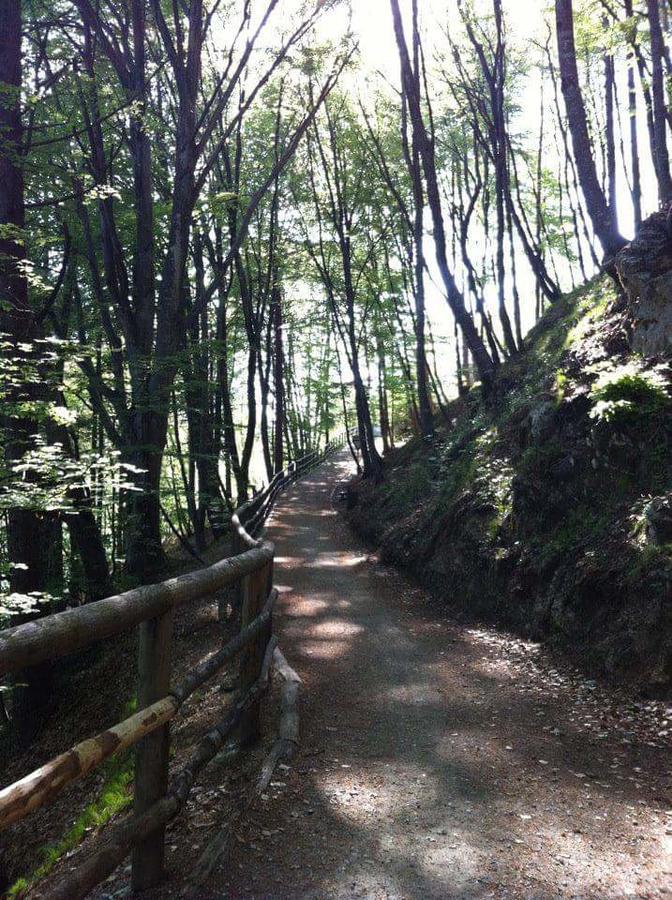 Appartamento Galet Pieve Di Ledro Buitenkant foto